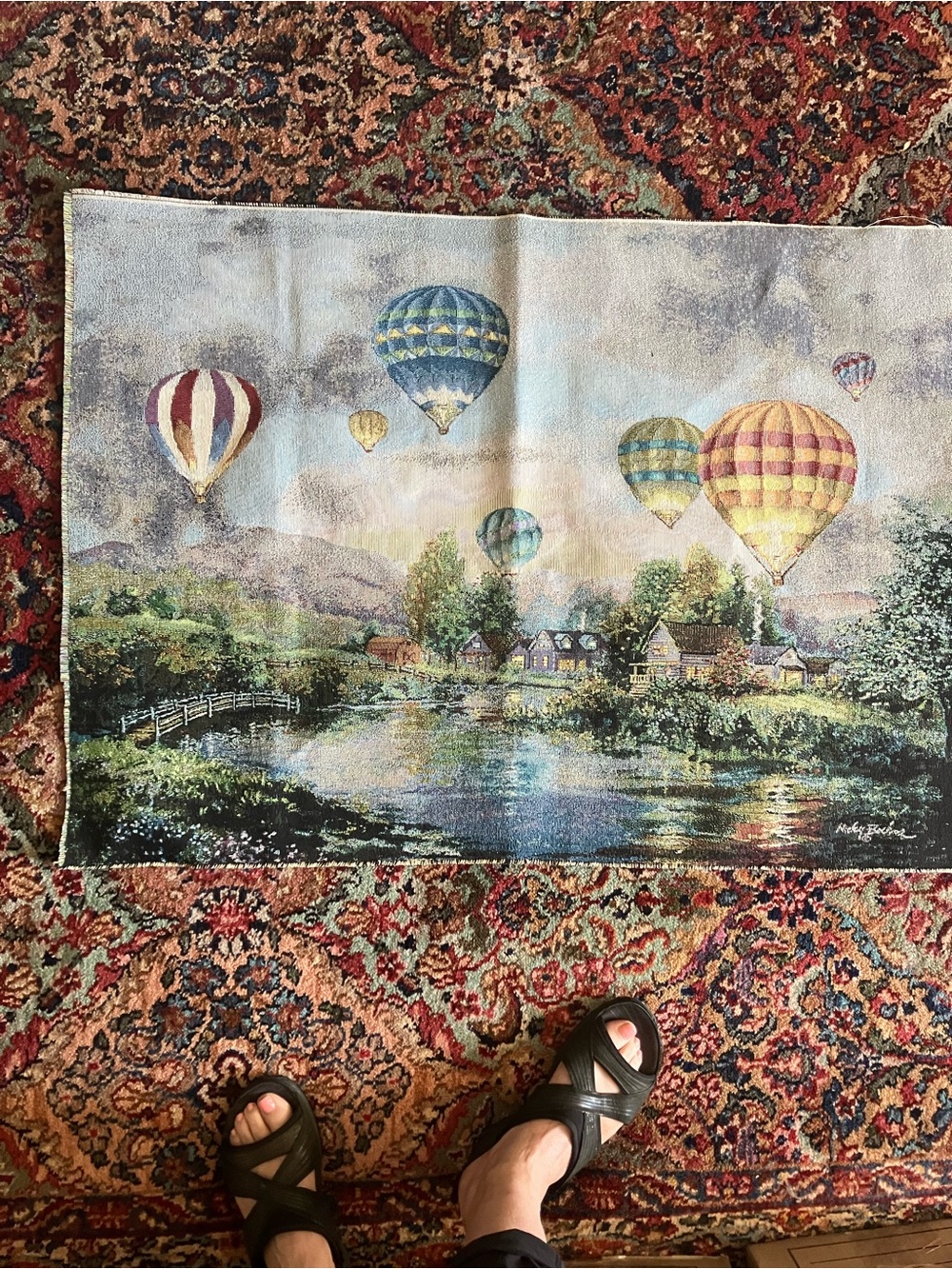 Balloon Tapestry - Picture 6 of 8
